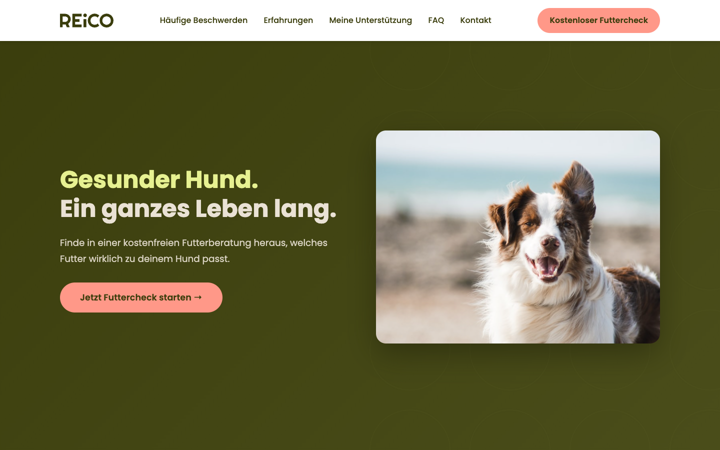 Pet food brand · Lead-gen LP desktop view