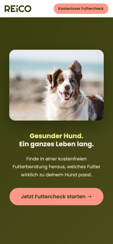 Pet food brand · Lead-gen LP mobile view